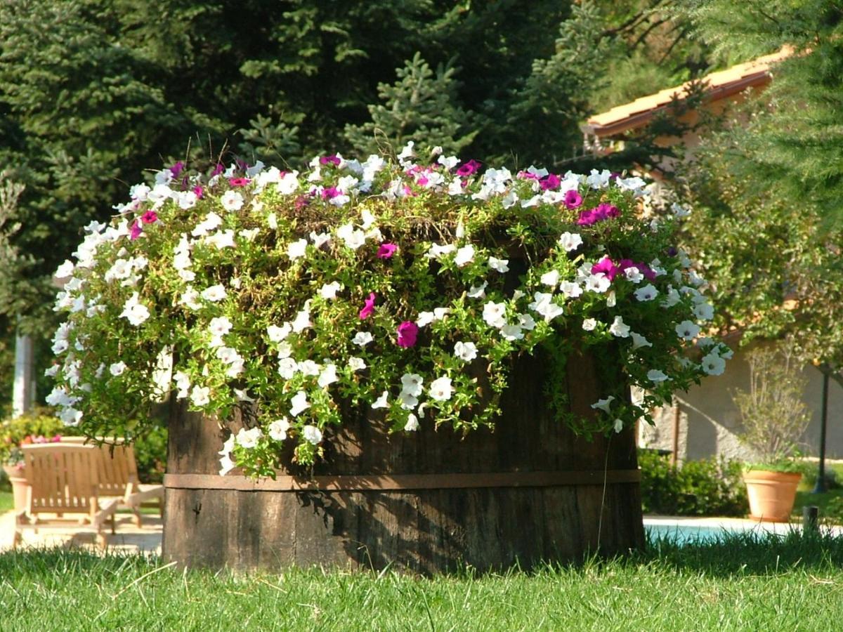 La Terrazza Sulla Versilia Pietrasanta Esterno foto