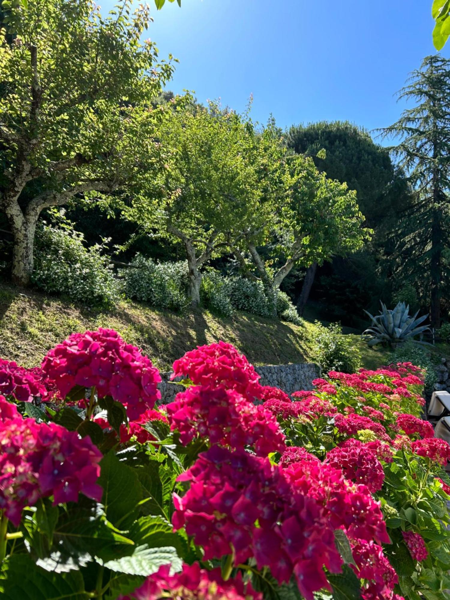 La Terrazza Sulla Versilia Pietrasanta Esterno foto
